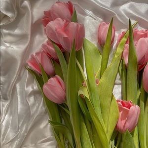 Meet your Posher, Aiyre